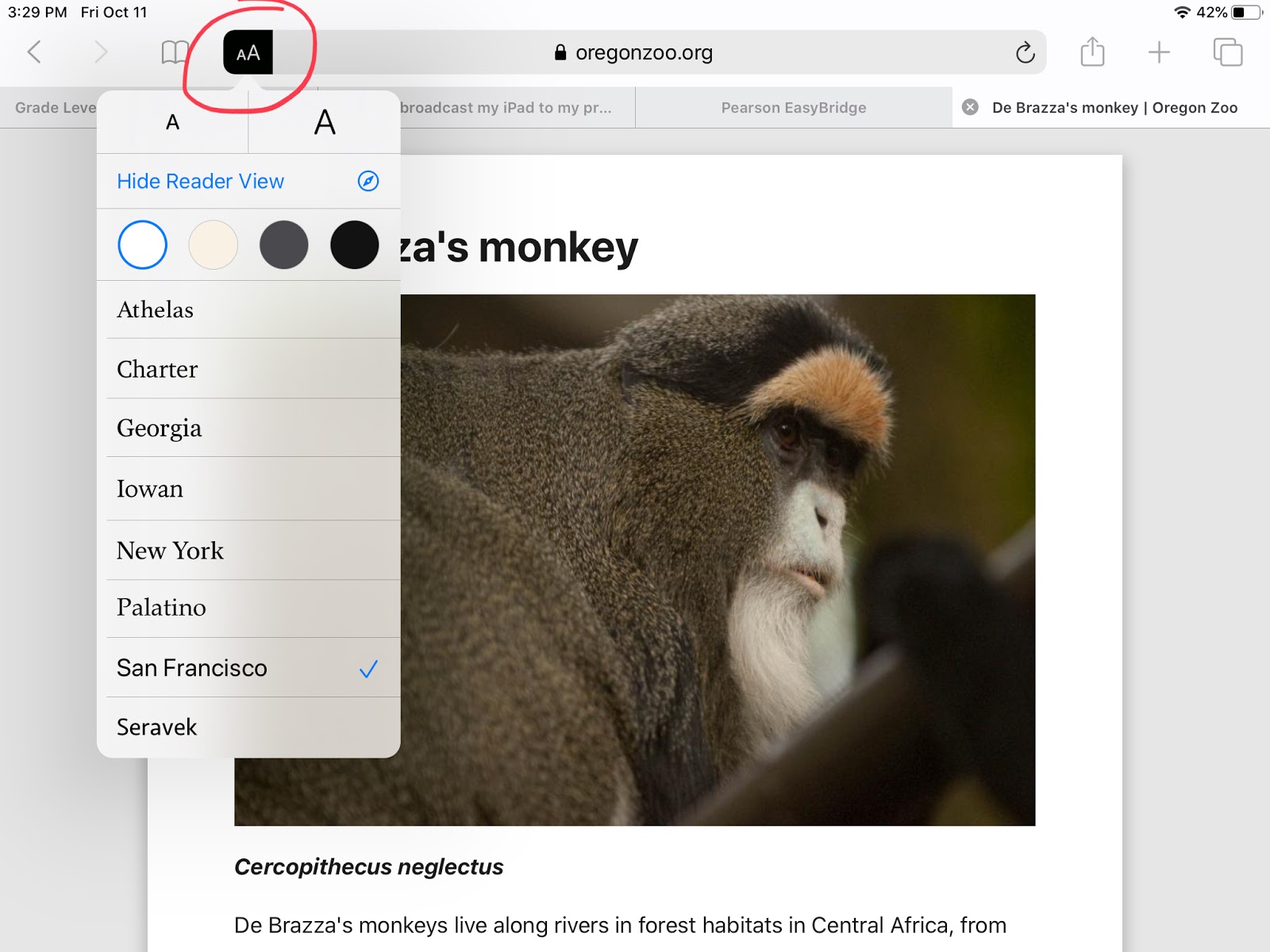 safari reader view not printing images